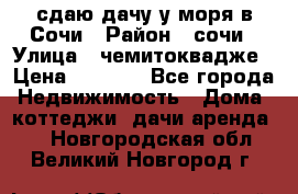 сдаю дачу у моря в Сочи › Район ­ сочи › Улица ­ чемитоквадже › Цена ­ 3 000 - Все города Недвижимость » Дома, коттеджи, дачи аренда   . Новгородская обл.,Великий Новгород г.